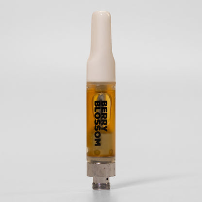 Bloom Collection - Twin Pack