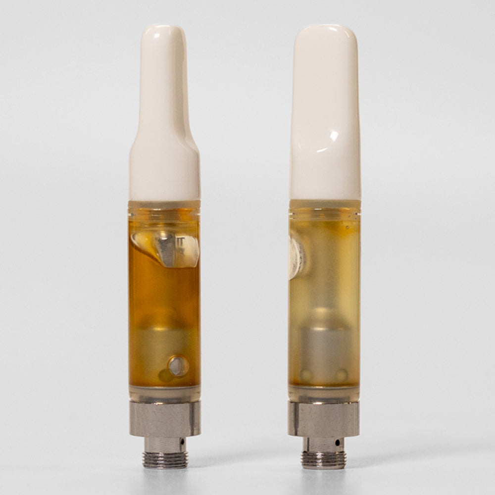 Bloom Collection - Twin Pack